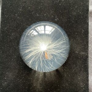 Vintage Lucite Dandelion Seed paperweight